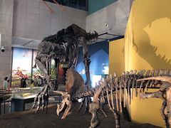 -湖南省地质博物馆