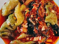 -柴窝堡22号辣子鸡·传承新疆菜