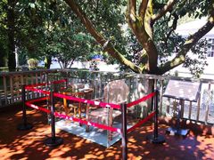 -韶山毛泽东同志故居