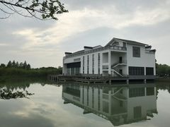 -太湖湖滨国家湿地公园-停车场