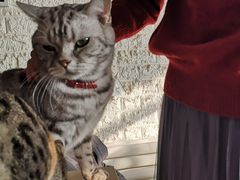 -平行世界·猫咖(首经贸店)
