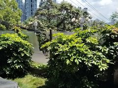 -树厨贵州菜(铜仁花果山店)