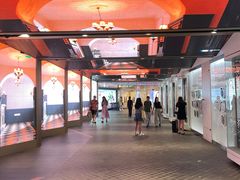 -乐天免税店(明洞店)