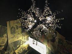 -蜉蝣酒吧(仓山万达店)