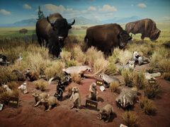 -陕西自然博物馆