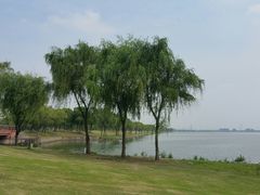 -漕湖湿地公园