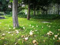 -长春世界雕塑园冰雪艺术天地