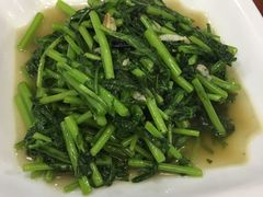 -品雅轩农家乐
