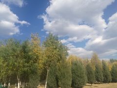 -永定河休闲森林公园