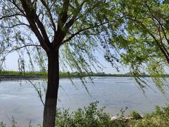 -天津东丽湖风景区