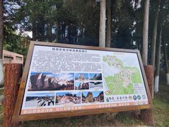 -彩色沙林风景区