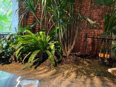 -J Create城市露营咖啡·简餐·宠物(上海动物园店)