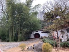 -西苑公园