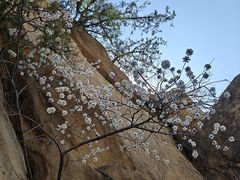 -北京凤凰岭