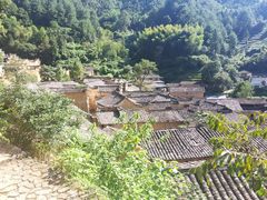 -杨家堂村