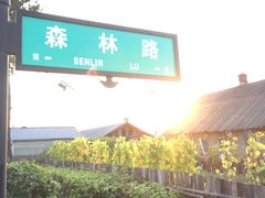 -北极村旅游风景区