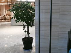 -杭州开元名都大酒店·地中海自助餐厅