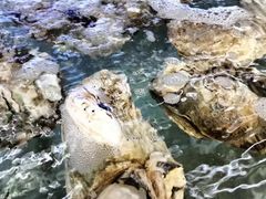 -钱塘府海鲜餐厅