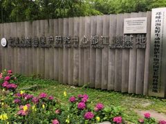-都江堰中华大熊猫苑