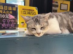 -谜盒子奇幻密室(南屏店)