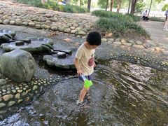 -成都市活水公园