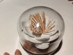 -江仙雅居(中航国际店)