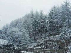 -硗碛藏寨·神木垒景区