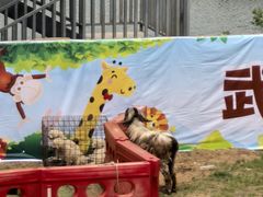 -武汉紫薇都市田园