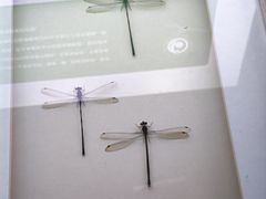 -昆明动物博物馆