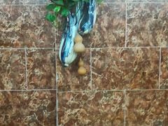 -海鲜街菜馆(海珠南路店)