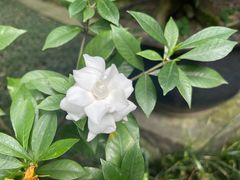 -成都杜甫草堂博物馆