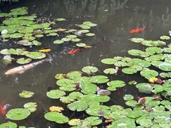 -白马涧龙池景区