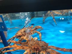 -麦德龙(郑东店)