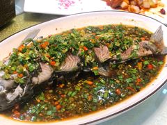 -蜀竹情酒楼(北营房店)