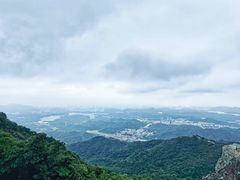 -阳台山森林公园