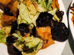 酱爆圆白菜木耳豆腐-振生清真饭店(永安道店)