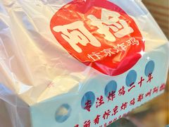 -阿捡忭京炸鸡(长沙韭菜园总店)
