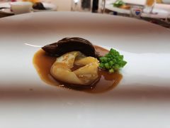 -诺莱仕游艇会