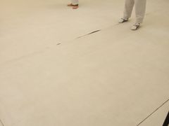 -勇气斑马·巴西柔术&跆拳道(浦东三林店)