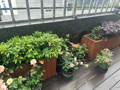 -上海仁瑞护理院·医养康复·临终关怀