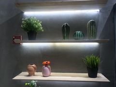 -素匠泰茶(三里屯SOHO工体奶茶店)