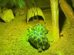 -济南野生动物世界