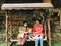 -呀路古热带植物园
