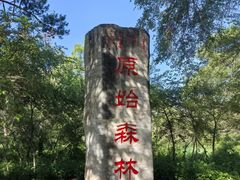 -大青沟风景区