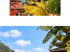 -荔江湾景区