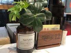 -龙猫意杯花园餐厅(芙蓉湖店)