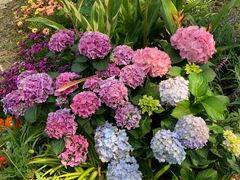 -人民公园(罗湖区)