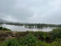 -海南铜鼓岭景区