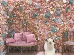 -Dazzling Cafe 蜜糖吐司专卖店