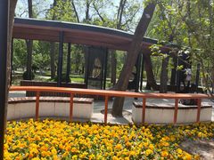 -元大都城垣遗址公园